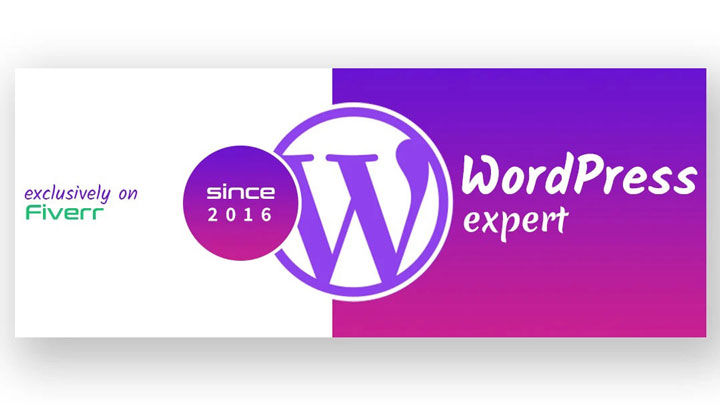 I will be your wordpress expert